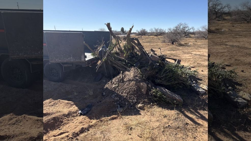 Photo of debris dumped in the desert. Credit: EPCSO