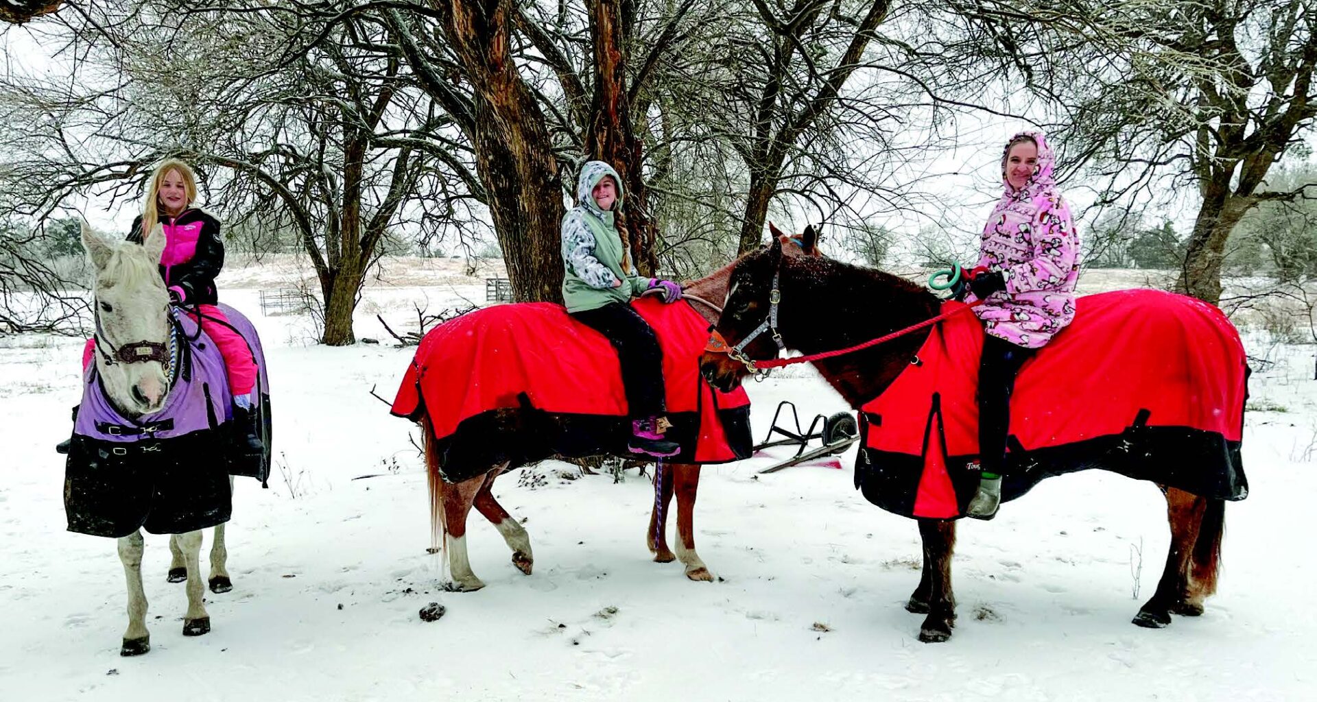 Deep freeze grips Collin County