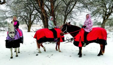 Deep freeze grips Collin County