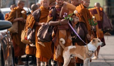 Down Arrow Button Icon