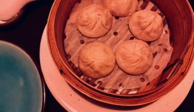 dumplings at bushi bushi