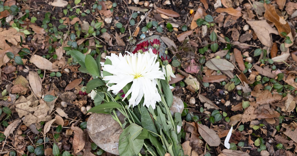 A funeral reminded me of how dangerous Dallas streets are