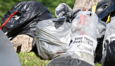 Euless could penalize trash contractor over missed pickups