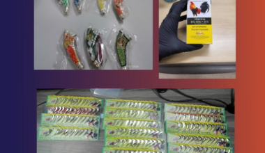 Man accused of brining cockfighting equipment from Mexico into El Paso