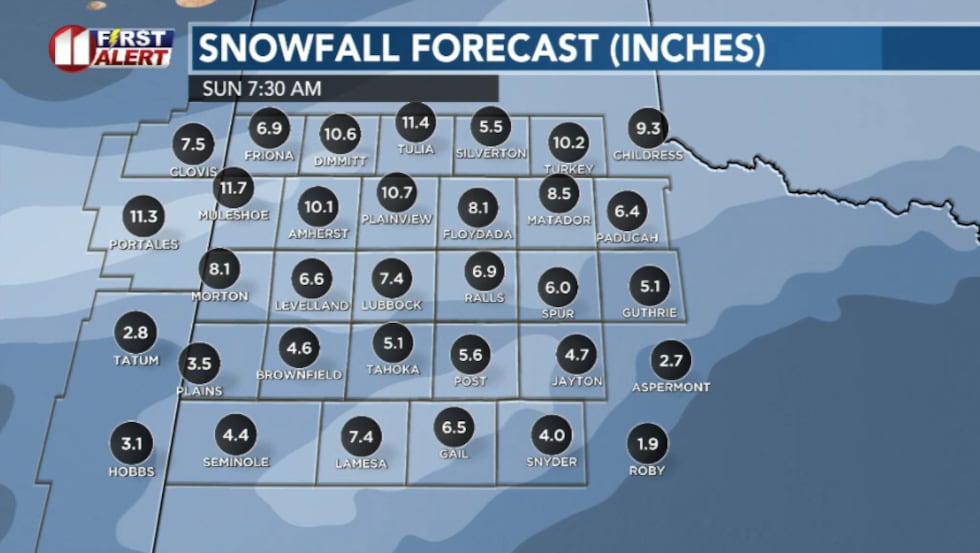 Potential snow totals across the region Sunday morning