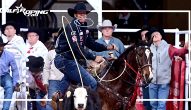 Calf Roping Results & More