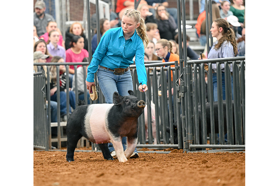 WISD ag students rack up honors at county show