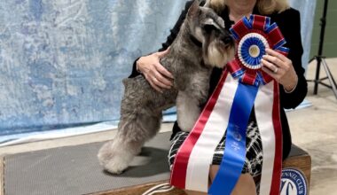 Corpus Christi Kennel Club, Inc. – Saturday, January 10, 2026