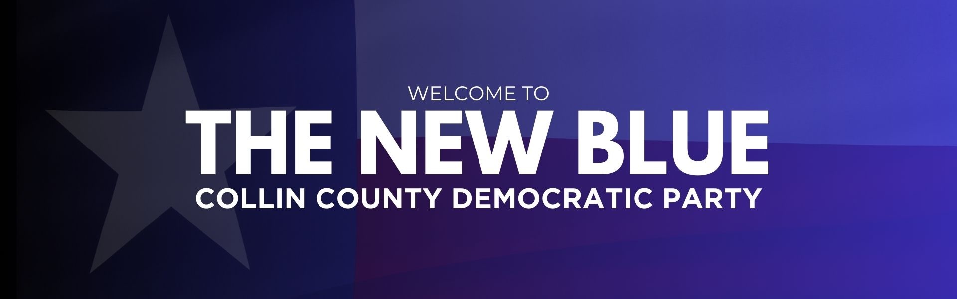 Collin County holds ICE Out of Texas protest