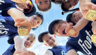 SVAA to award college scholarships