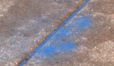 The United Family joins local organizations in Texas Blue Sand Project