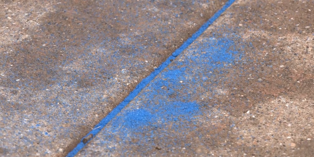The United Family joins local organizations in Texas Blue Sand Project