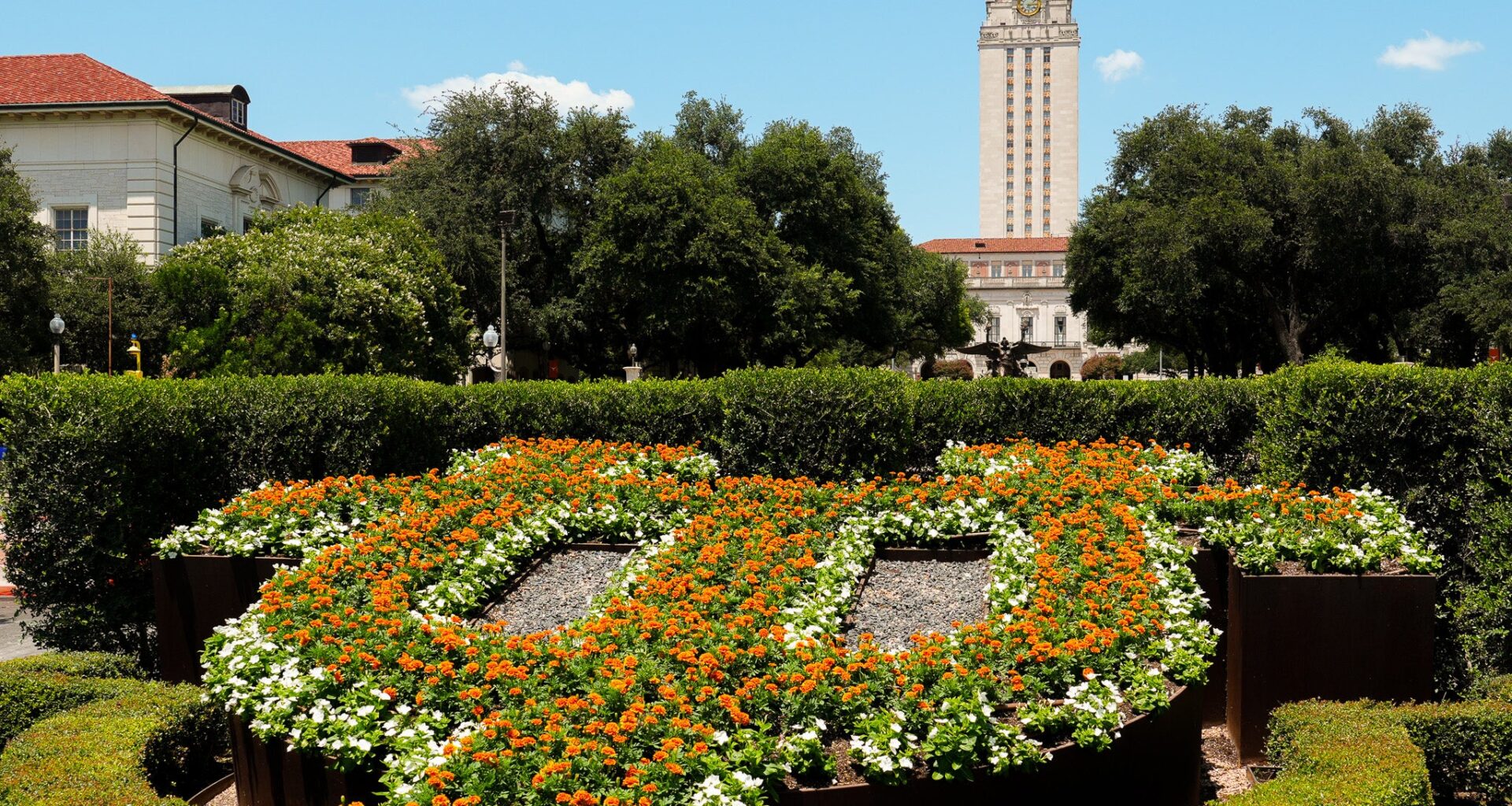 UT To Launch New Strategy and Statecraft, Great Books Majors With NEH Grant - UT Austin News