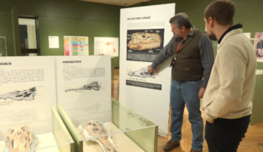 Museum at Texas Tech presents Prehistoric Predators
