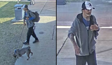 Police search for man accused of stealing dog from ACS facility