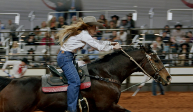 Saddle up for the Fort Worth Stock Show and Rodeo – NBC 5 Dallas-Fort Worth