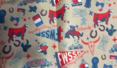 High schoolers design 2026 FWSSR scarf – NBC 5 Dallas-Fort Worth