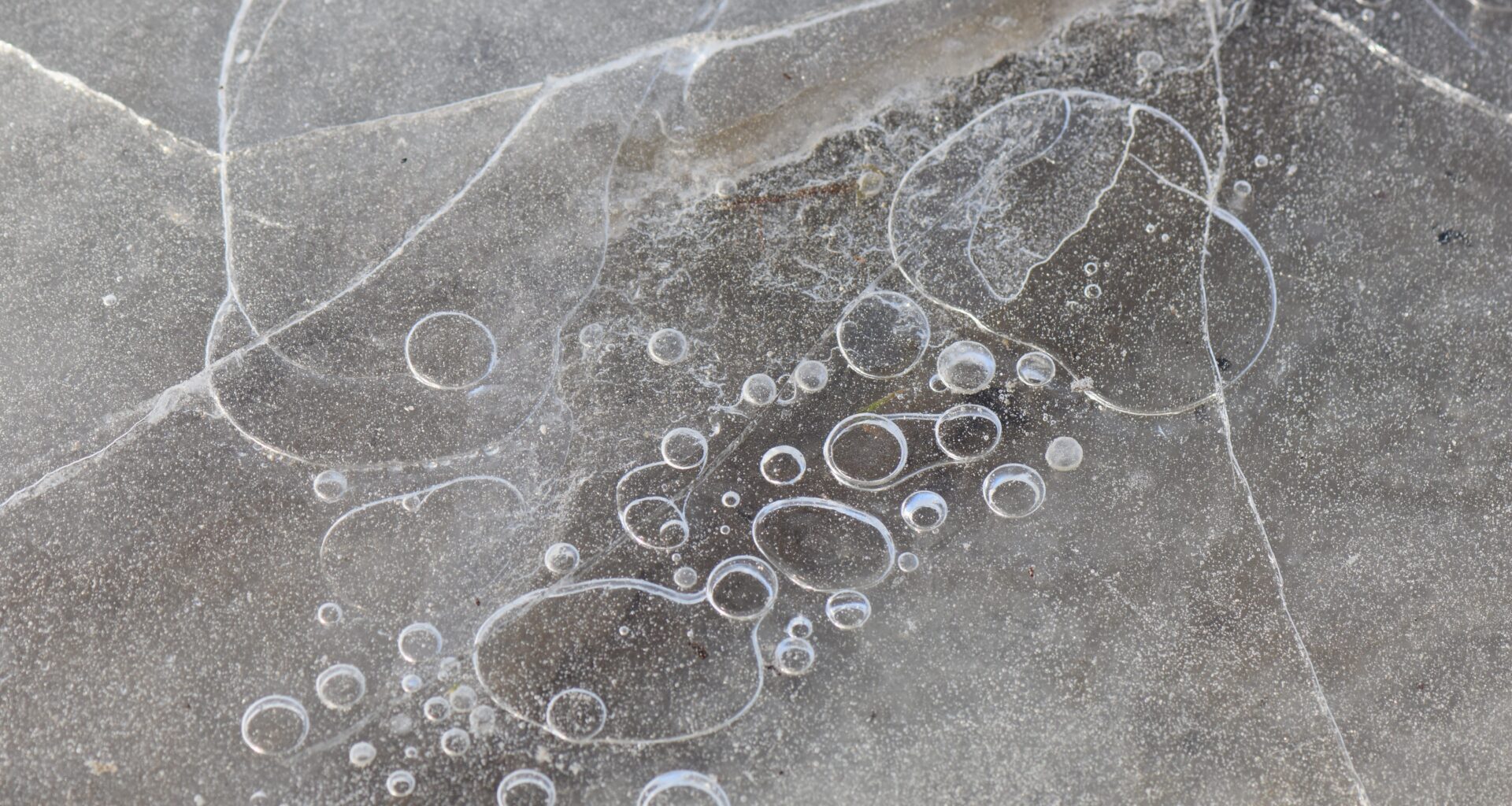 A 78-year-old Colleyville man has died from injuries sustained after falling into an icy pond Sunday morning amid dangerous winter weather conditions.