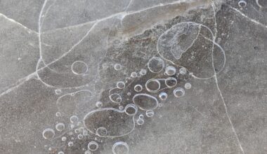 A 78-year-old Colleyville man has died from injuries sustained after falling into an icy pond Sunday morning amid dangerous winter weather conditions.