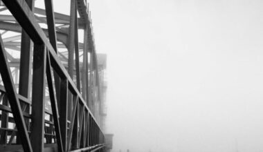 City Photo Contest Winners Announced