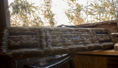 Plano Diverge Gun Case Review