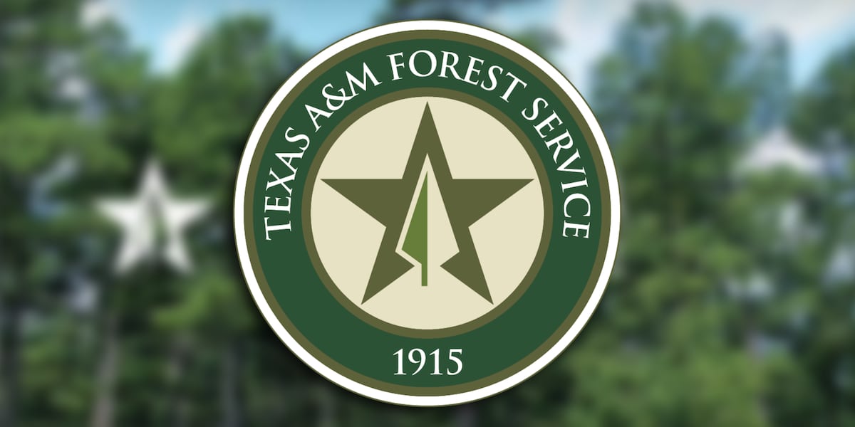 Texas A&M Forest Service releases 2025 report, highlights annual impact