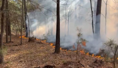 Crews containing wildland fire in Addicks Reservoir