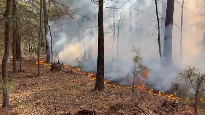 Crews containing wildland fire in Addicks Reservoir