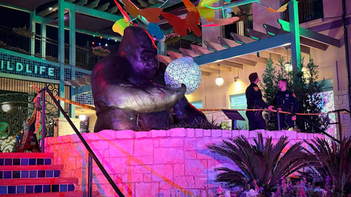 SAPD identifies suspect arrested in connection with stabbing at San Antonio Zoo