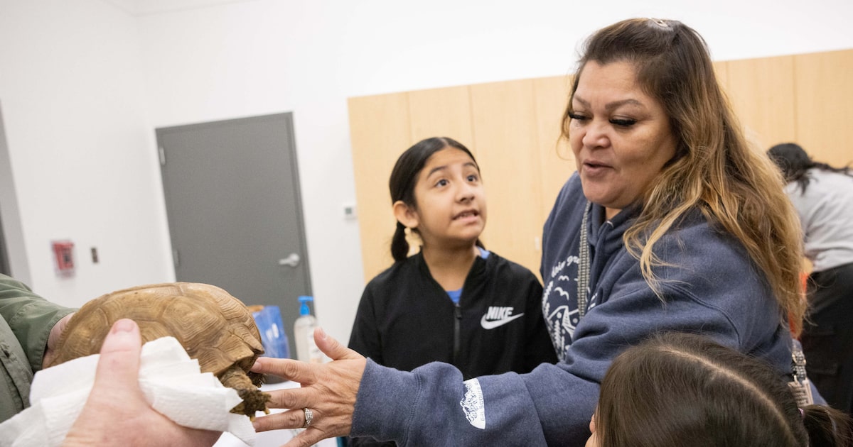 See the Girl Scout DreamLab launched in Southern Dallas