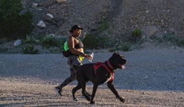 El Paso just had its third-warmest year ever, with record highs driven by climate change