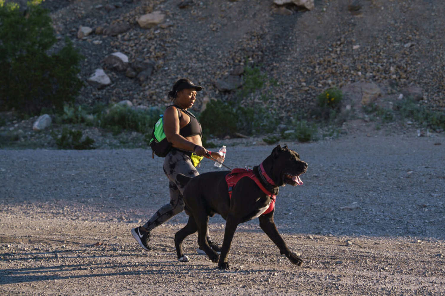 El Paso just had its third-warmest year ever, with record highs driven by climate change