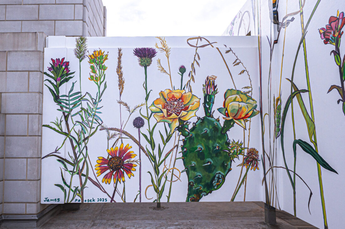A mural of flowers and a cactus