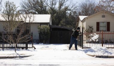 Pets, power and icy road concerns dominate Dallas 311 calls during winter storm