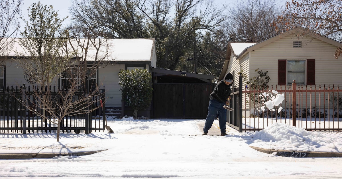 Pets, power and icy road concerns dominate Dallas 311 calls during winter storm