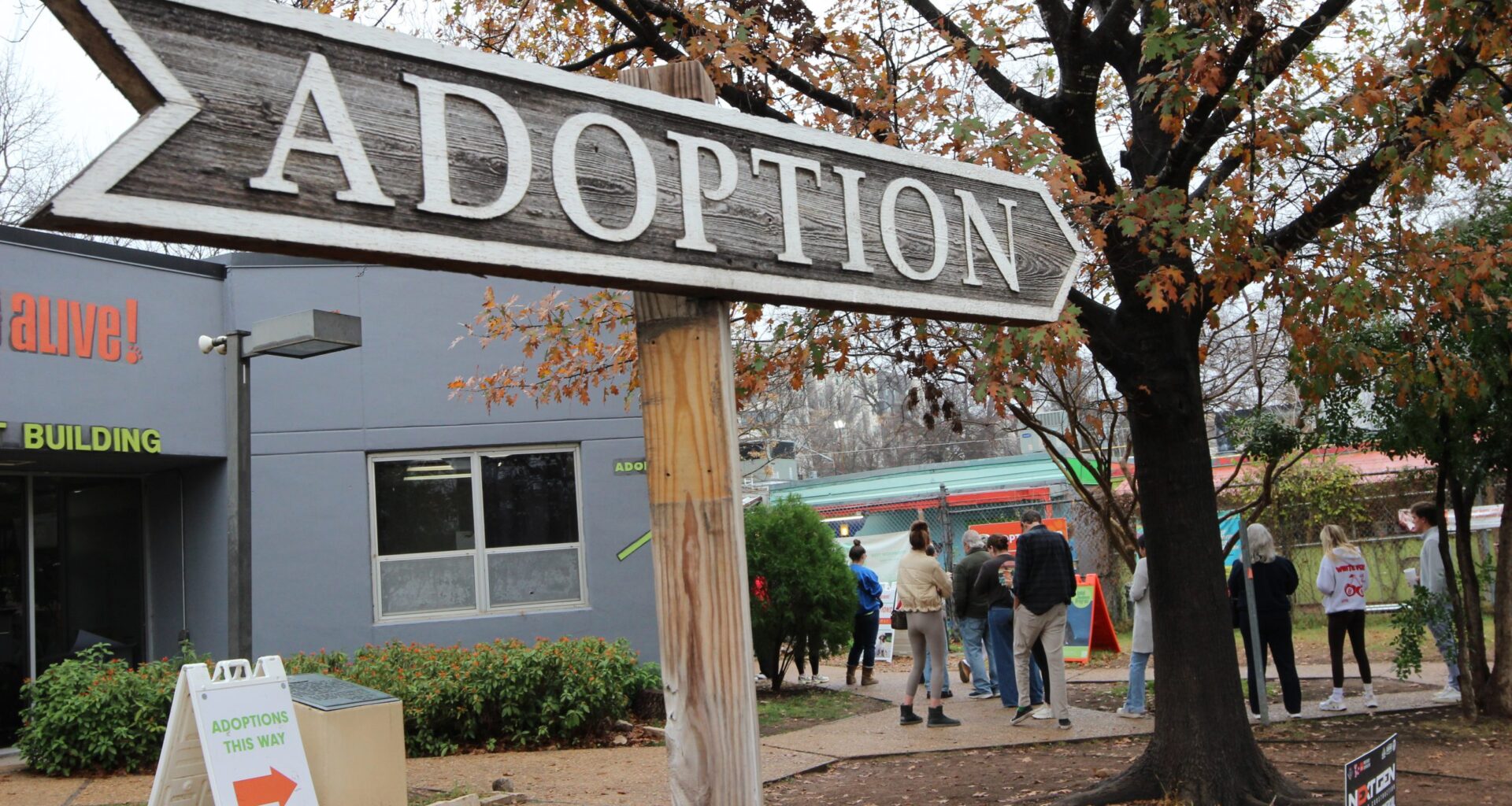 Austin Pets Alive Sees Record Foster Turnout Ahead of Dangerous Winter Storm 