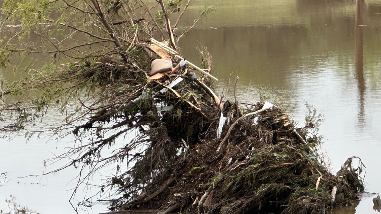 An uprooted tree holds debris after the flood, along the Guadalupe River in Kerrville, July 5, 2025. (Spectrum News 1/Lauren Kendrick)