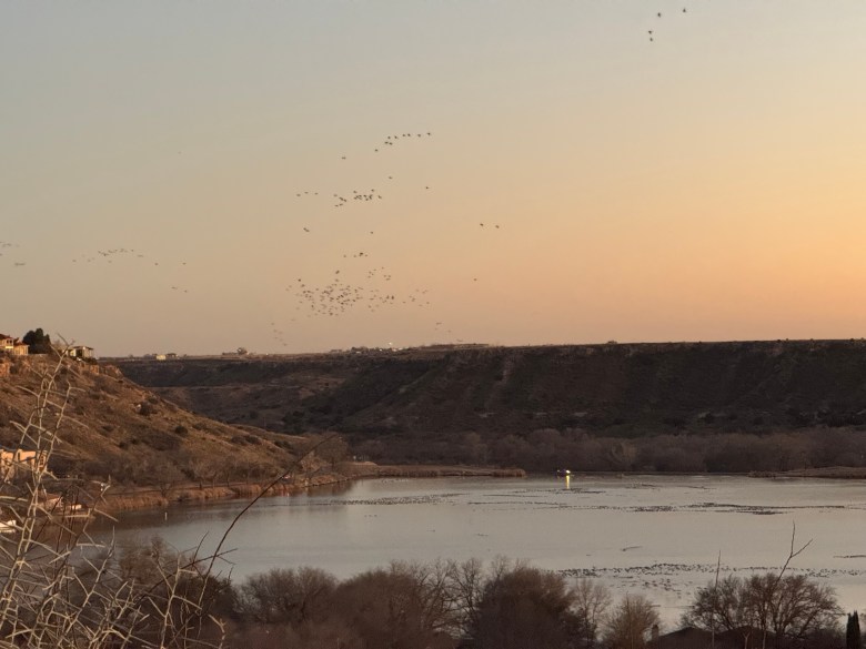 Geese on the lake at Ranom Canyon, Texas