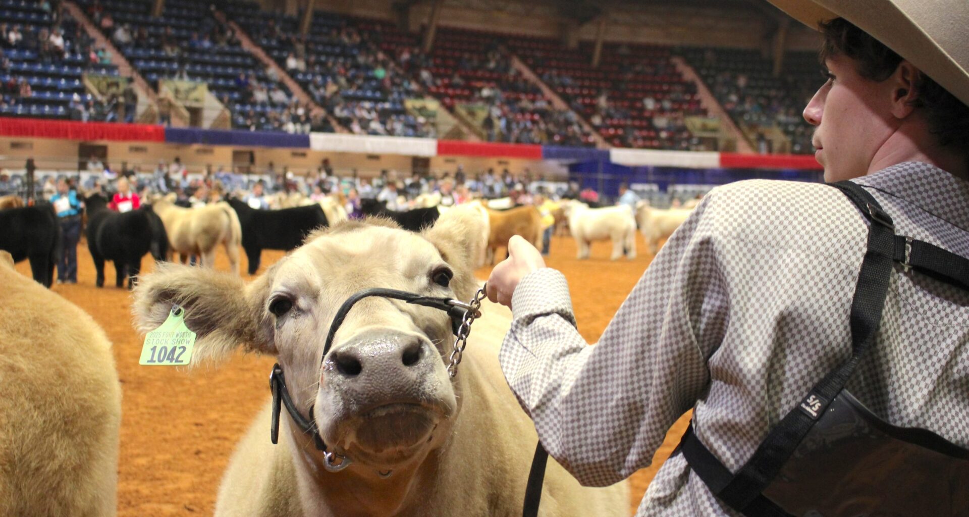 Experience fun and entertainment at the Fort Worth Stock Show & Rodeo
