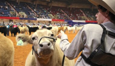Experience fun and entertainment at the Fort Worth Stock Show & Rodeo
