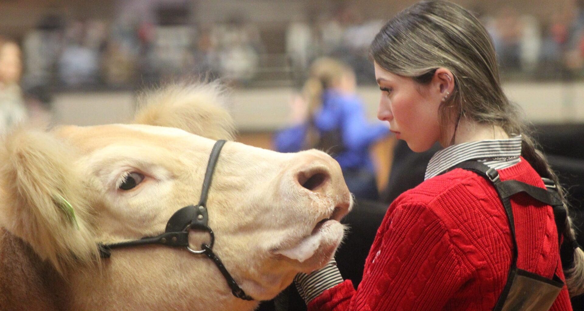 Bidders poised to buy animals from youth at Fort Worth Stock Show’s Junior Sale of Champions