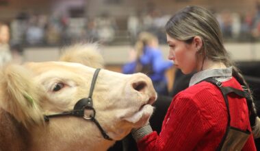 Bidders poised to buy animals from youth at Fort Worth Stock Show’s Junior Sale of Champions