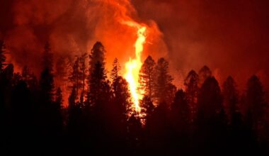 East Texas braces for elevated wildfire risk early in 2026