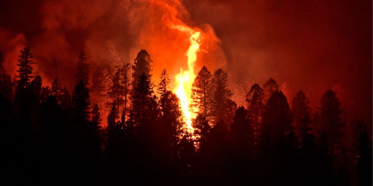 East Texas braces for elevated wildfire risk early in 2026