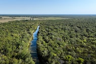 Cuthand Creek cuts through Bill & Joyce Wilson’s 8,500-acre property in Red River County,...