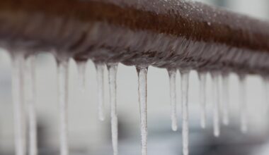 No heat, water? Here’s how Dallas renters can report issues in their apartments