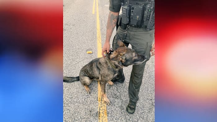 Harris County K-9 found unconscious after suspect allegedly tries to drown him