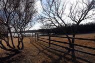 Oak Point Park and Nature Preserve in Plano was calm and pleasant on Wednesday, Jan. 21,...