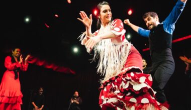 Dance troupe brings raw energy, intimate interplay of flamenco to Dallas
