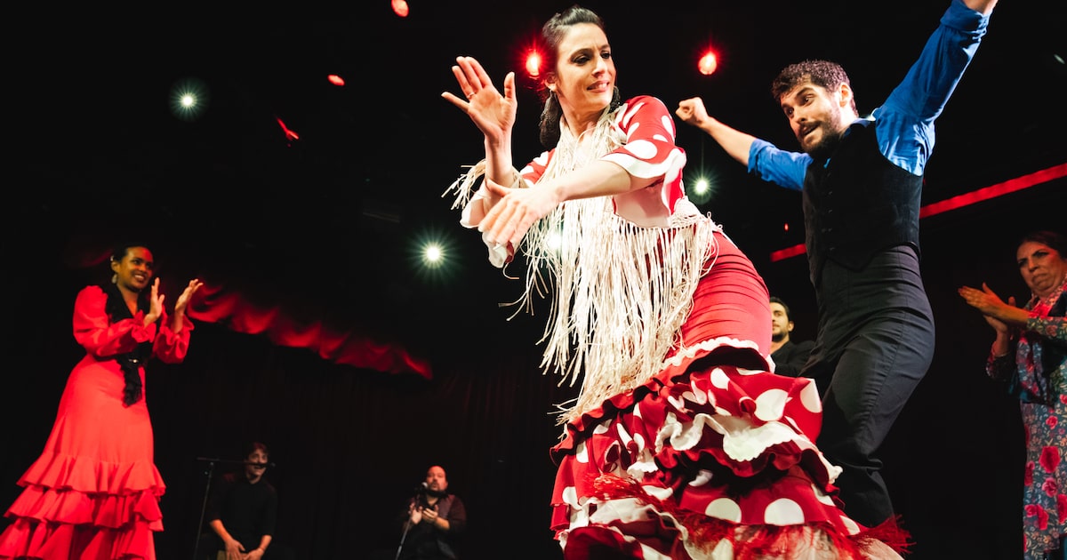 Dance troupe brings raw energy, intimate interplay of flamenco to Dallas
